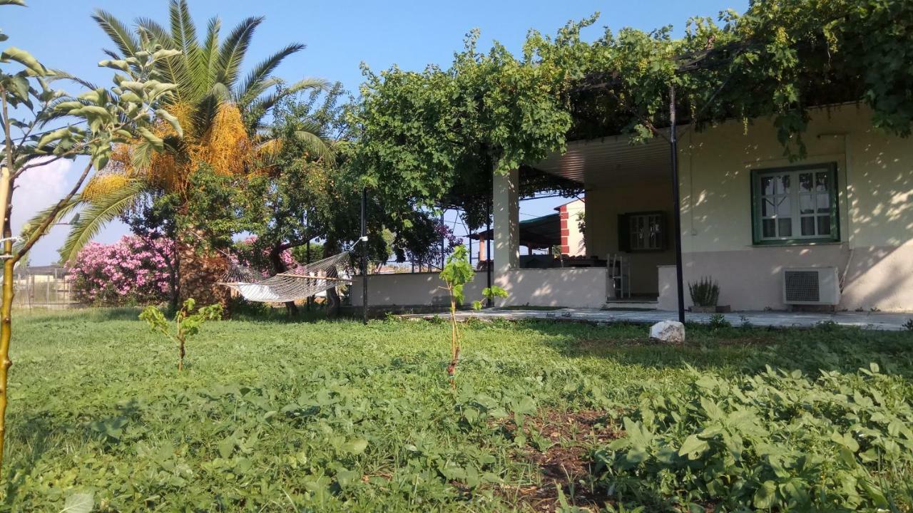 Ferienhaus Country *