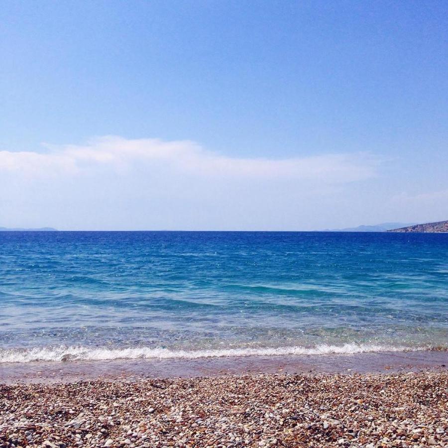 Holiday home Country *